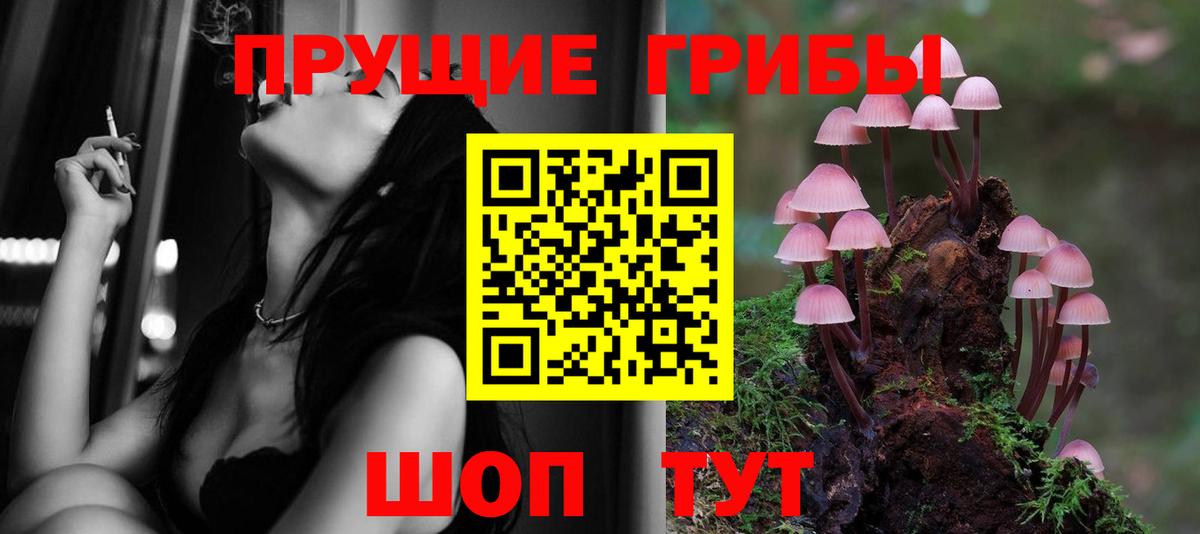 купить наркотики цена  Вход с VPN  Арзамас  Псилоцибиновые грибы GOLDEN TEACHER 